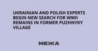 Ukrainian and Polish Experts Begin New Search for WWII Remains in Former Puzhnyky Village