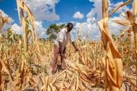 Zambians cautioned against looming El Nino