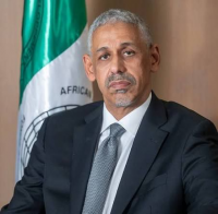 What would make Sidi Ould Tah smile?