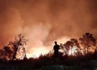 Tunisian Authorities Evacuate Over 100 Families as Wildfires Spread in Kairouan and Siliana