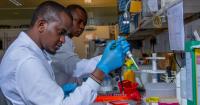 Africa Has The Science. Now It Needs To Govern Its Health Data.