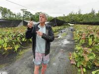 Hawaii island ranchers, farmers still assessing Lala damage