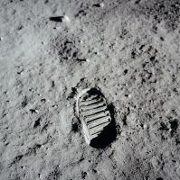 Earth Microbes Could Survive on the Moon’s Poles for Weeks and NASA Scientists Are Worried