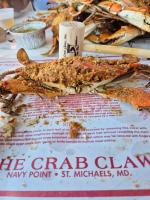 Crabs, Beer, Bourbon, and Fun