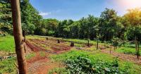 Fund seeks to promote a new generation of agroecological research in Puerto Rico