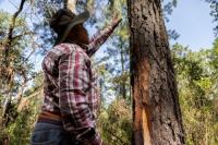 Indigenous Peoples Highlight Their Role in Driving Rural Economies and Protecting Nature