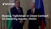 Russia, Tajikistan in Close Contact on Security Issues - Putin