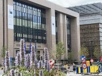 Pressure Grows to End Unanimity on Some EU Foreign Policy Decisions
