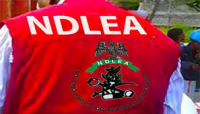 NDLEA arrests 3,705 suspects, seizes 54 tonnes of illicit drugs in 52 days
