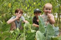 Young Salmon Arm gardeners battle weather, pests on Project Grow journey