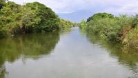 Farmers’ movement alleges irregularities in Lower Bhavani water distribution