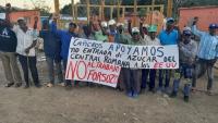 Op-Ed: A Forced-Labor Ban Should Not Be Lifted in the Dark