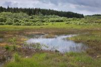 Over half of EU countries miss nature restoration plan deadline