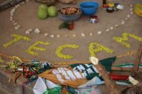 The Colombian Peasant Movement in the Face of the New Political Situation