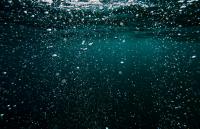 Florida Lagoon Hypoxia Far Worse Than Official Sensors Showed, Study Reveals