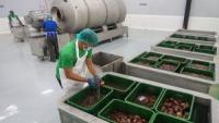 Philippines’ August PMI grows at fastest pace in nearly 10 years