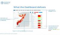 From data to decision: Somalia’s early warning systems light the way for resilience across Africa