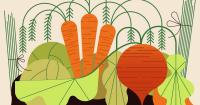 How to successfully start a fall vegetable garden at home