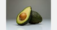 Moroccan Avocado Conference to focus on water, yield, and markets