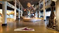 Philadelphia official fighting to keep Academy of Natural Sciences Museum open