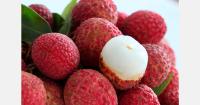 São Paulo accounts for 80% of Brazil’s lychee crop