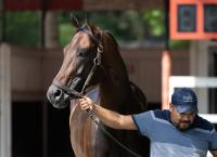 Kentucky Downs Changes Thursday Program With Hot Temps Expected