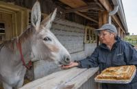 ‘Happy Birthday to the little donkey (that) started it all’