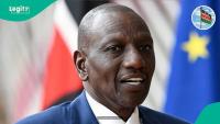 Kenya publishes full list of goods banned from import and export