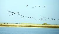 Hunters urged to protect wildlife as migratory bird hunting season opens