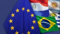 Independent Ireland called on to ramp up anti-Mercosur deal effort