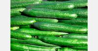 Belarus sets cucumber and tomato volumes for stabilization stocks