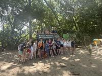 From K-Wood to Costa Rica