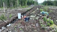 Indonesia Urged to Declare Forest Fire Emergency