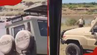 Serengeti: Vehicle plunges into river while chasing wildebeest, tourists thrown into water