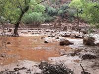 What we’re watching: Weekly disaster update, August 31, 2026