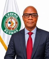 Professor Palokinam T. Pitche formally assumes office as DG of WAHO