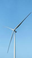 UAE renewable energy capacity rises 63-fold over decade