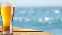Top 5 beer producers in the European Union