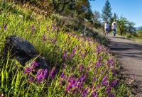 OUTDOOR ADVENTURES: Southern Oregon hikes, celebrations, outings and more