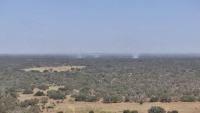 Multiple fire crews, Texas A&M Forest Service battling 350-acre grass fire in Atascosa County