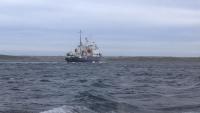 Falklands’ Loligo Fishing Industry Had Been Warning About Problems For Years