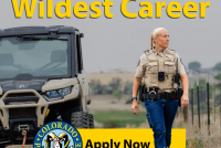 Colorado’s Wildest Career: Apply for a job at Colorado Parks and Wildlife