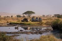 WATCH: Safari Vehicle With Tourists Loses Control in the Serengeti