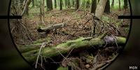 AgriLife urges hunters to report signs of New World screwworm