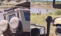 Moment safari vehicle packed with Swiss tourists plunges into crocodile-infested river in Tanzania as shocked tourists watch on