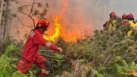 Albania battles four active wildfires