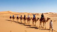 Morocco Sahara Desert Camp: An Unforgettable Night in the Merzouga Desert