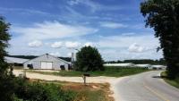 Maryland Department of Agriculture announces "simpler" permit process for no-land chicken farms