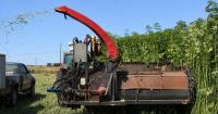 Groundbreaking hemp harvest machine proves itself at Klamath Basin Research and Extension Center demonstration