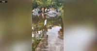 SoHo Business Alliance challenges Tampa flood relief plan